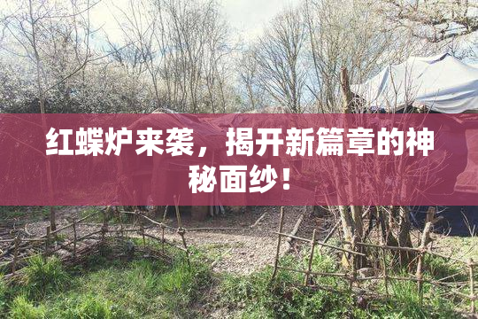 红蝶炉来袭，揭开新篇章的神秘面纱！