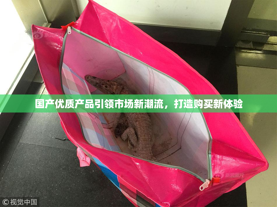 国产优质产品引领市场新潮流，打造购买新体验