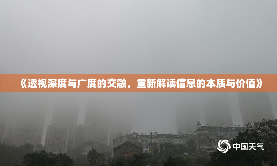 《透视深度与广度的交融，重新解读信息的本质与价值》