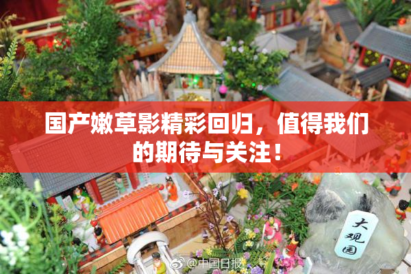 国产嫩草影精彩回归，值得我们的期待与关注！