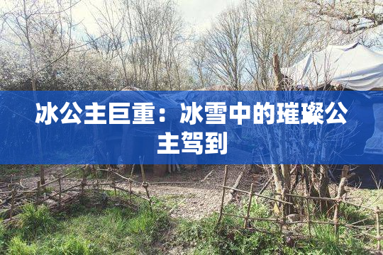 冰公主巨重：冰雪中的璀璨公主驾到