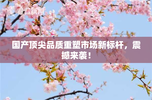 国产顶尖品质重塑市场新标杆，震撼来袭！