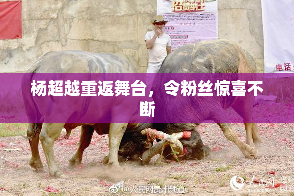 杨超越重返舞台，令粉丝惊喜不断
