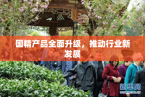 国精产品全面升级，推动行业新发展
