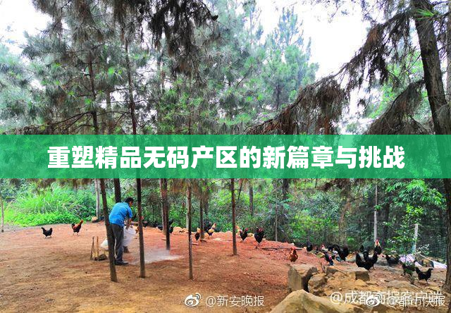 重塑精品无码产区的新篇章与挑战