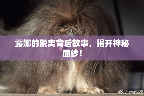 露娜的脱离背后故事，揭开神秘面纱！