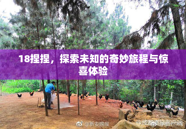 18捏捏，探索未知的奇妙旅程与惊喜体验