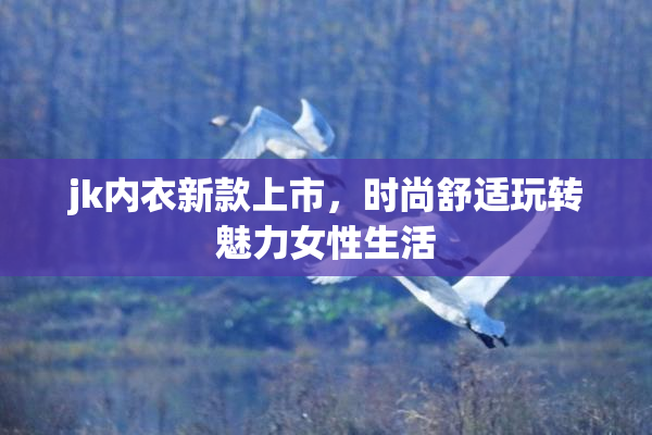jk内衣新款上市，时尚舒适玩转魅力女性生活