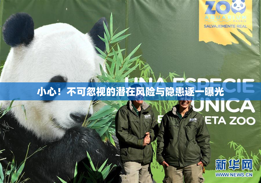 小心！不可忽视的潜在风险与隐患逐一曝光