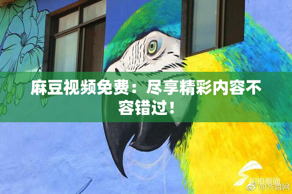 麻豆视频免费：尽享精彩内容不容错过！