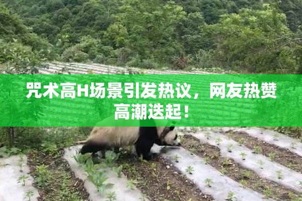 咒术高H场景引发热议，网友热赞高潮迭起！
