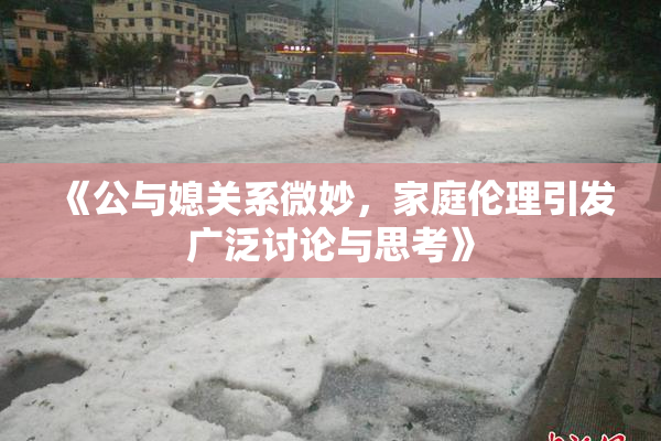 《公与媳关系微妙，家庭伦理引发广泛讨论与思考》