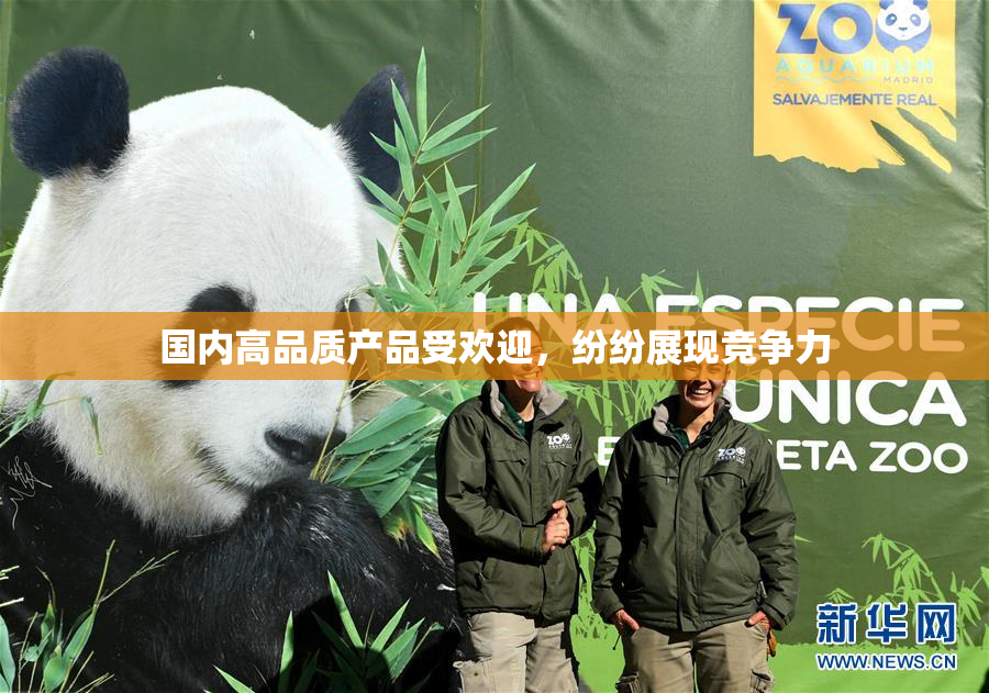 国内高品质产品受欢迎，纷纷展现竞争力