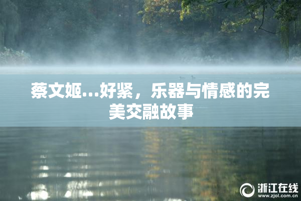 蔡文姬…好紧，乐器与情感的完美交融故事