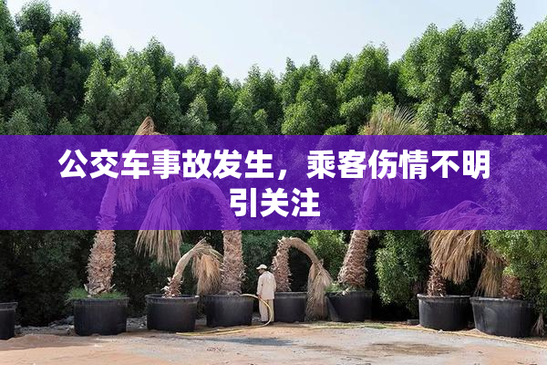 公交车事故发生，乘客伤情不明引关注
