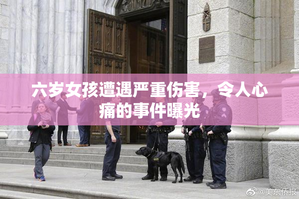 六岁女孩遭遇严重伤害，令人心痛的事件曝光