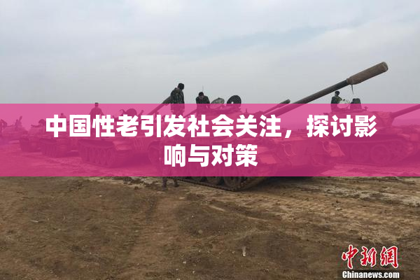 中国性老引发社会关注，探讨影响与对策