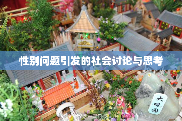 性别问题引发的社会讨论与思考