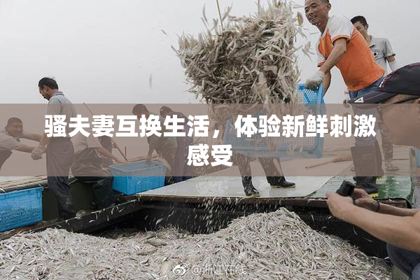 骚夫妻互换生活，体验新鲜刺激感受