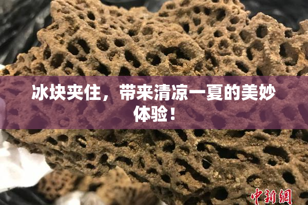冰块夹住，带来清凉一夏的美妙体验！