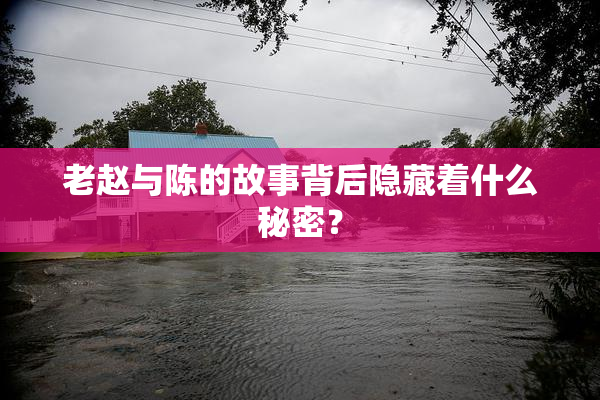 老赵与陈的故事背后隐藏着什么秘密？