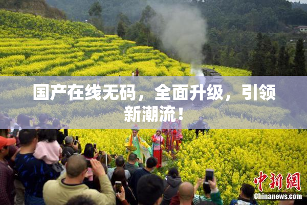 国产在线无码，全面升级，引领新潮流！
