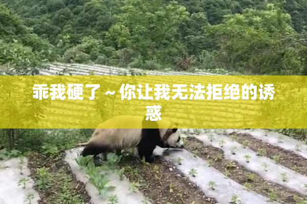 乖我硬了～你让我无法拒绝的诱惑