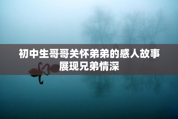 初中生哥哥关怀弟弟的感人故事展现兄弟情深