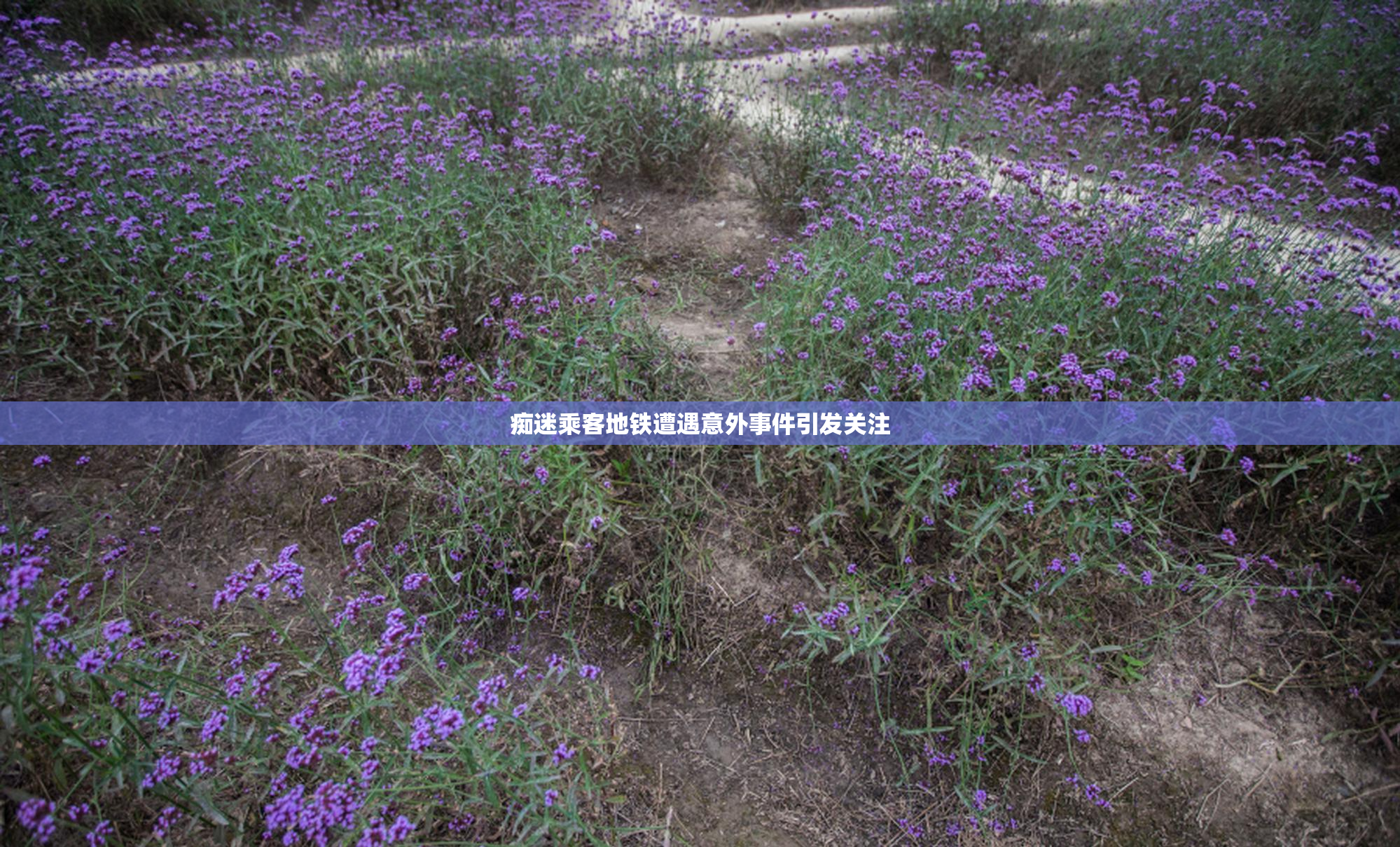 痴迷乘客地铁遭遇意外事件引发关注