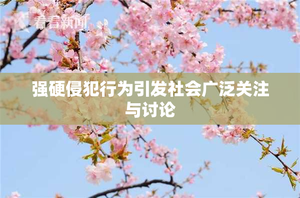 强硬侵犯行为引发社会广泛关注与讨论