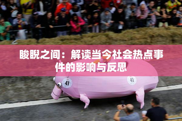 睃睨之间：解读当今社会热点事件的影响与反思