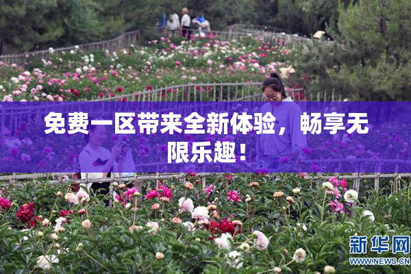 免费一区带来全新体验，畅享无限乐趣！