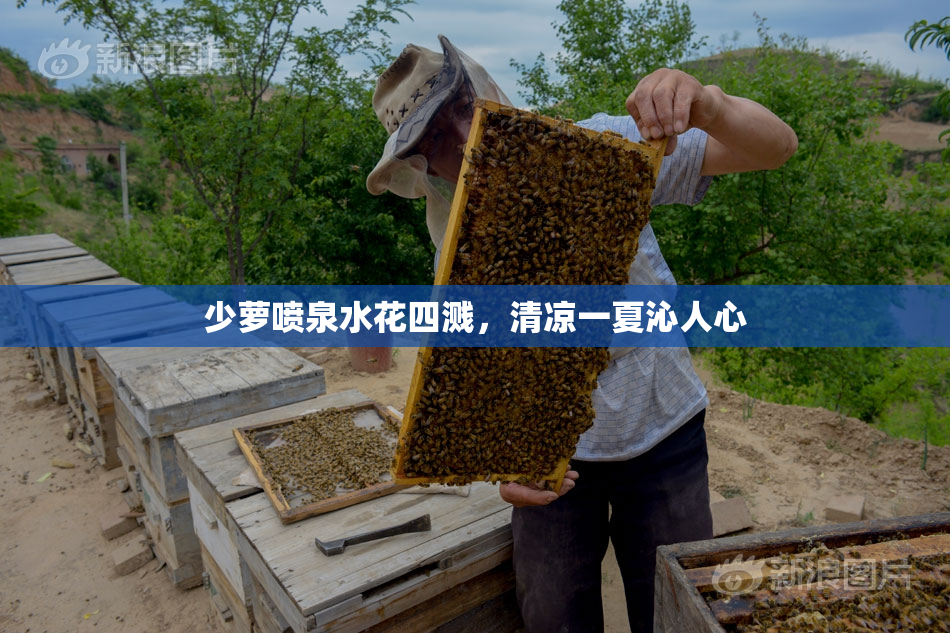 少萝喷泉水花四溅，清凉一夏沁人心