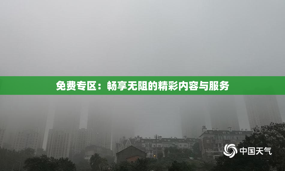 免费专区：畅享无阻的精彩内容与服务