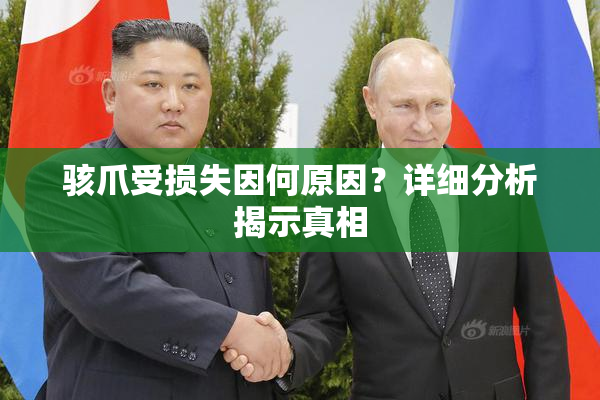 骇爪受损失因何原因？详细分析揭示真相