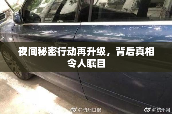 夜间秘密行动再升级，背后真相令人瞩目