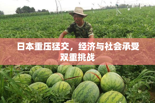 日本重压猛交，经济与社会承受双重挑战
