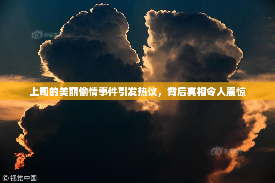 上司的美丽偷情事件引发热议，背后真相令人震惊