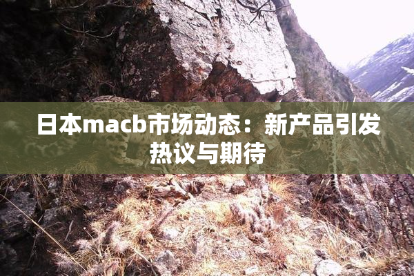 日本macb市场动态：新产品引发热议与期待