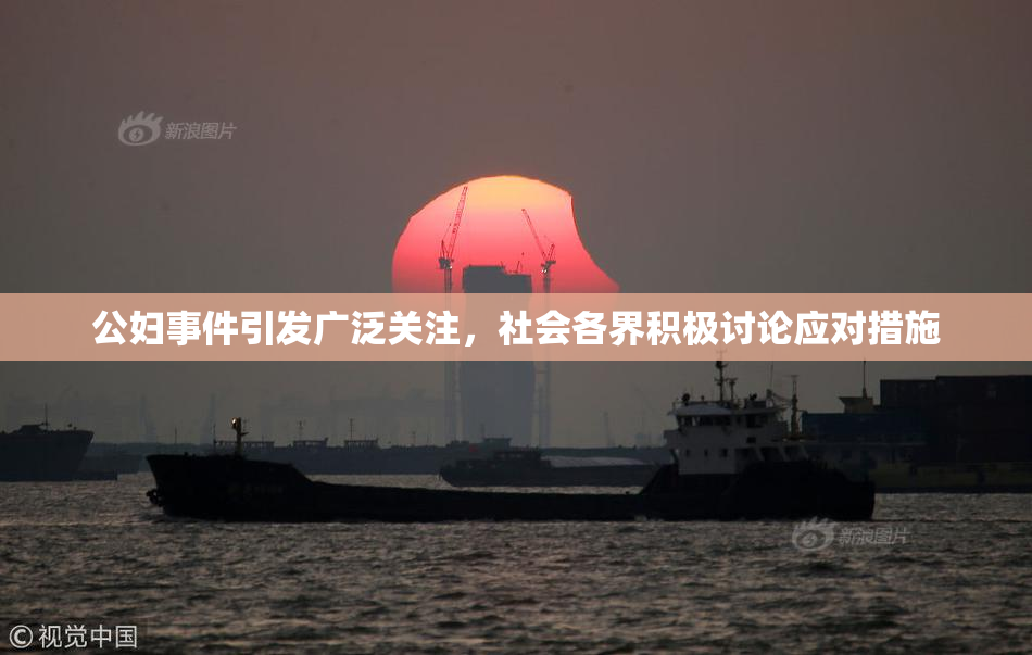 公妇事件引发广泛关注，社会各界积极讨论应对措施