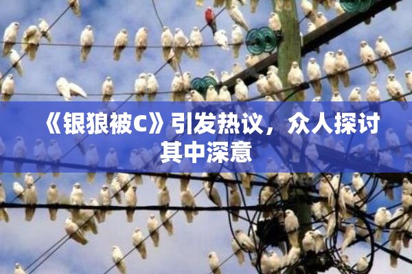 《银狼被C》引发热议，众人探讨其中深意