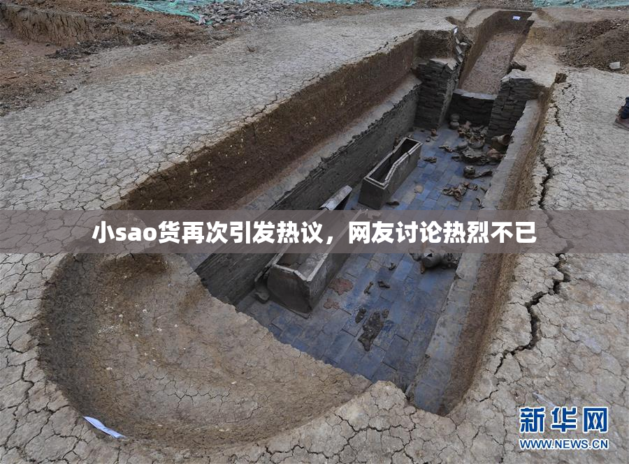 小sao货再次引发热议，网友讨论热烈不已