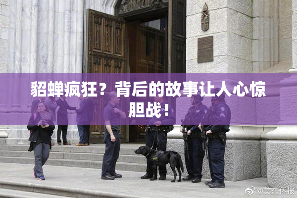 貂蝉疯狂？背后的故事让人心惊胆战！