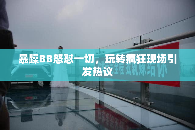 暴躁BB怒怼一切，玩转疯狂现场引发热议