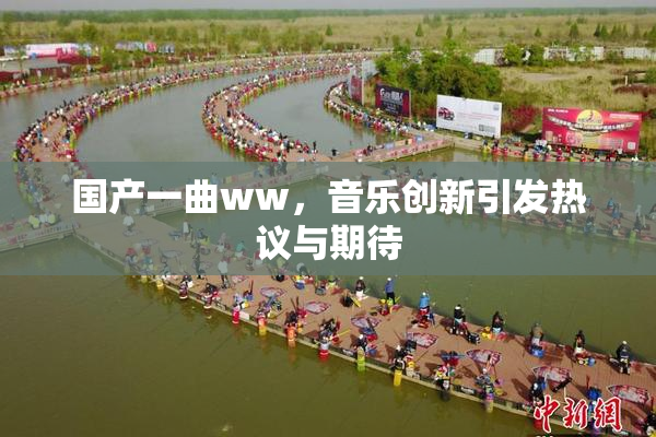 国产一曲ww，音乐创新引发热议与期待
