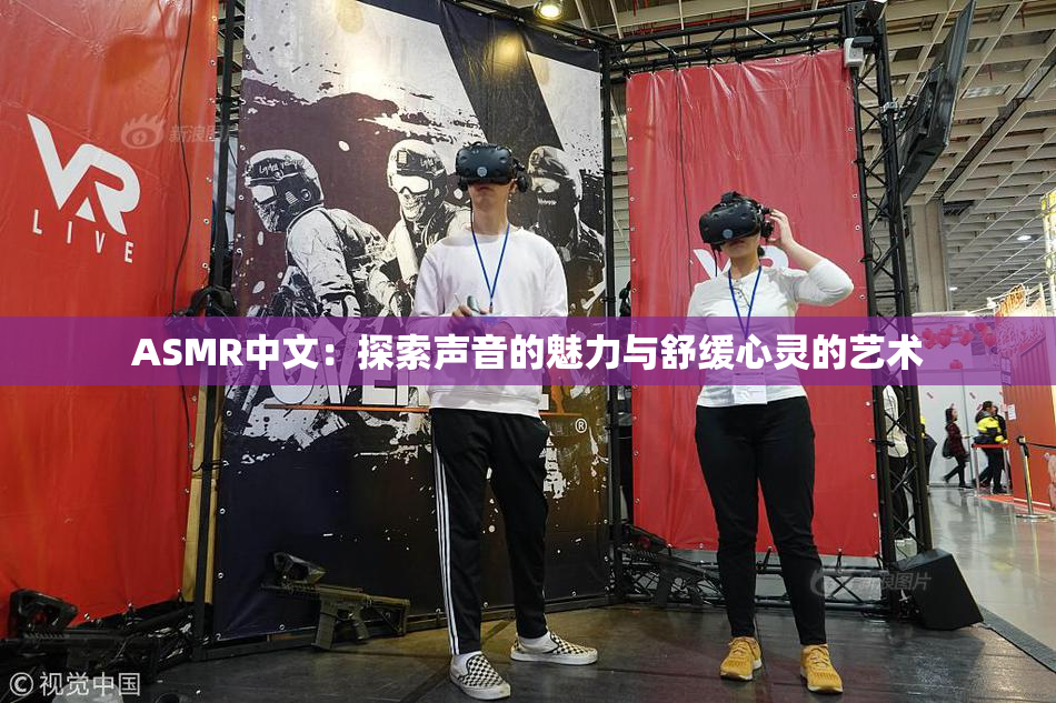 ASMR中文：探索声音的魅力与舒缓心灵的艺术