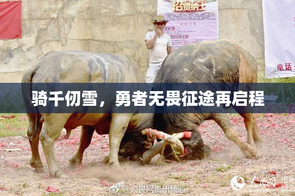 骑千仞雪，勇者无畏征途再启程