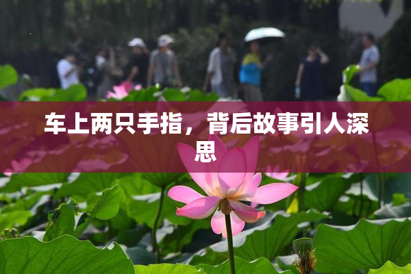 车上两只手指，背后故事引人深思