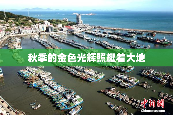 秋季的金色光辉照耀着大地