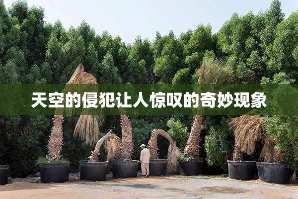 天空的侵犯让人惊叹的奇妙现象